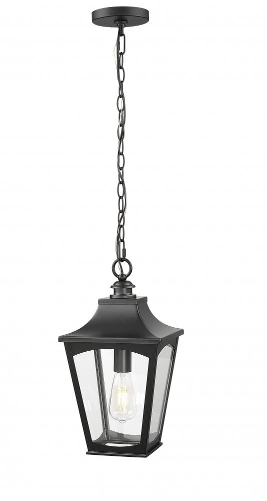Curry 1-Light Outdoor Hanging Lantern Powder Coated Black : 65RUN